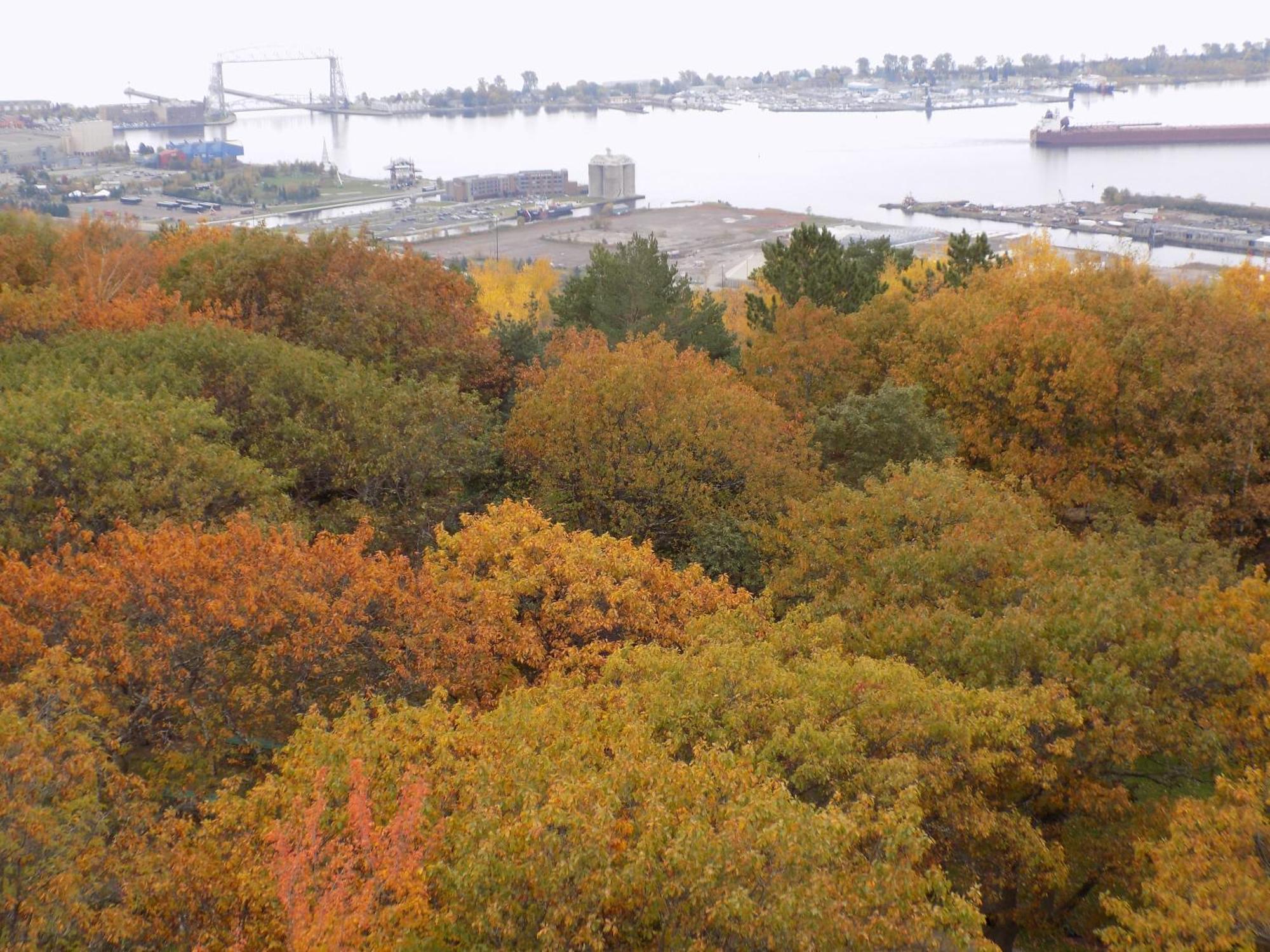 Fairfield Inn & Suites By Marriott Duluth Waterfront Eksteriør bilde